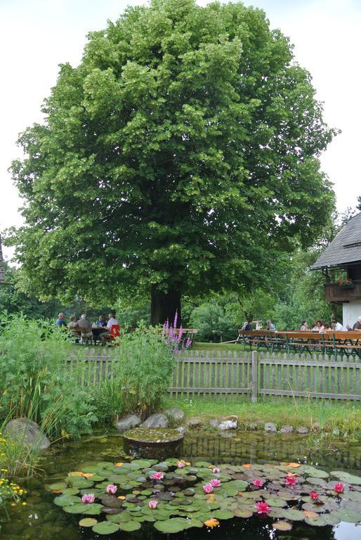 Appartment Buerger-Hinteregger Seeboden Bagian luar foto